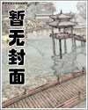 《都会背德审计实录》